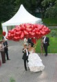 /album/fotogaleria-globos/getimagecal7klk4-jpg/