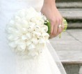/album/fotogaleria-ramo-de-novia/a154263-102784703128089-100001896791013-16962-5220205-n-jpg/