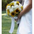 /album/fotogaleria-girasoles/%c3%a7-jpg1/