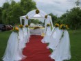 /album/fotogaleria-girasoles/covor-rosu-nunta-jpg/