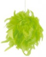 /album/fotogaleria-plumas/adorno-bola-plumas-kiwi-ampl-jpg/