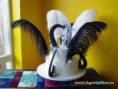 /album/fotogaleria-plumas/decoratiuni-de-nunta-din-pene-de-strut-19-jpg/