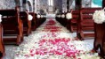 /album/fotogaleria-decoracion-iglesia/alfombra-petalos-2-jpg/